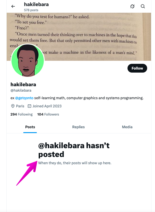 my twitter posts are invisible to the public